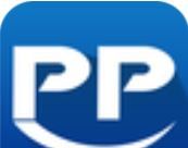 PP题库