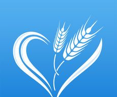 瑞麦医生软件logo图