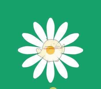 花帮主
