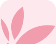 粉瓣儿文学