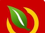首叶宝软件logo图