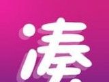 凑凑