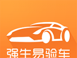 强生易验车
