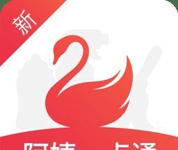 阿姨一点通