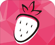 黑莓日记软件logo图