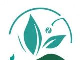 慈海网校
