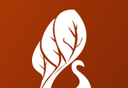 云普香茶软件logo图