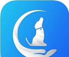 犬易