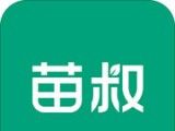 苗叔