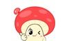 小白菇软件logo图