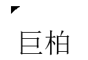 巨柏软件logo图