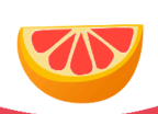 酸橙嘟嘟软件logo图