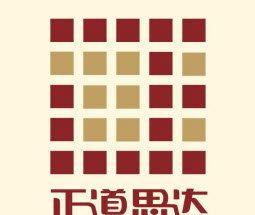 正道思达软件logo图