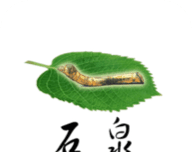 爱石泉软件logo图
