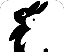 黑兔白兔闲置