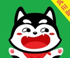试正品软件logo图