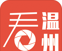 看温州软件logo图
