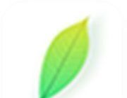 青叶看点软件logo图