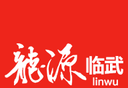龙源临武软件logo图