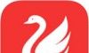 天鹅购软件logo图