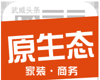 原生态商务软件logo图