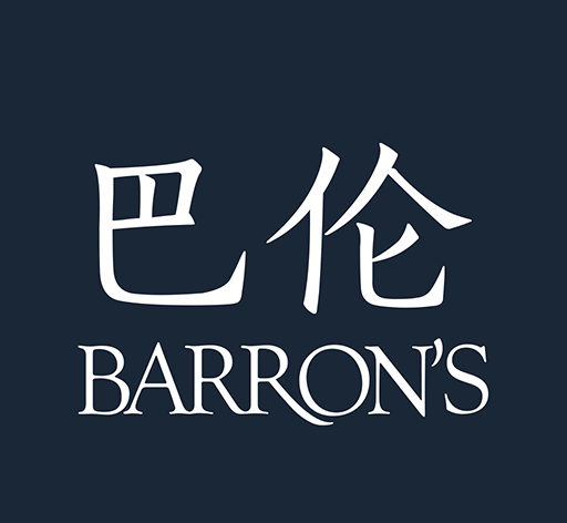 巴伦软件logo图