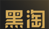 黑淘软件logo图