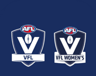 VFL软件logo图