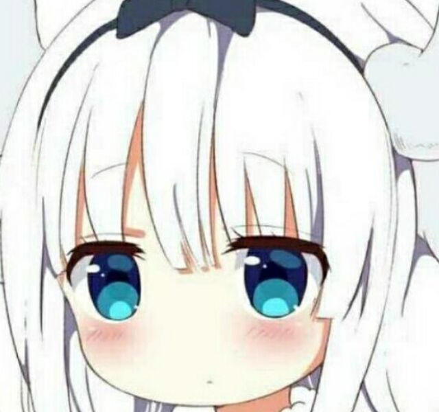 清酒浏览器