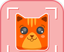 猫脸相机