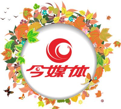 今媒体软件logo图