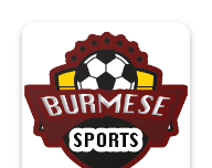 Burmese软件logo图