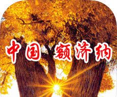 中国额济纳软件logo图