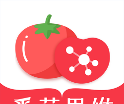番茄思维数学