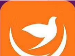 喜鹊网软件logo图