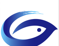 大美刚察软件logo图