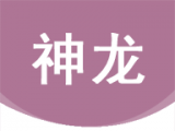 神龙资讯