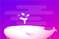 触娱