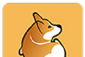Corgi