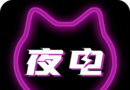 夜电