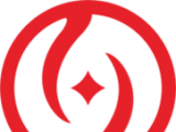南阳大宗自贸软件logo图