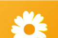 雏菊资讯软件logo图