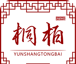 云上桐柏软件logo图