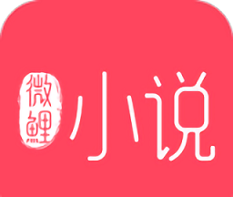 微鲤小说