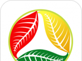 潞品汇软件logo图