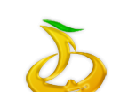 魏县融媒软件logo图