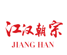 江汉朝宗软件logo图