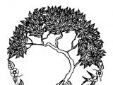 素描学习