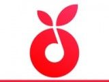 小叶子陪练