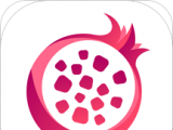 石榴联盟软件logo图